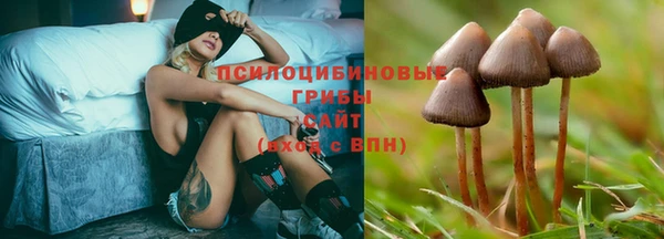 дживик Нефтекумск