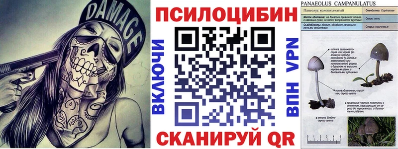 Псилоцибиновые грибы прущие грибы  Любим 